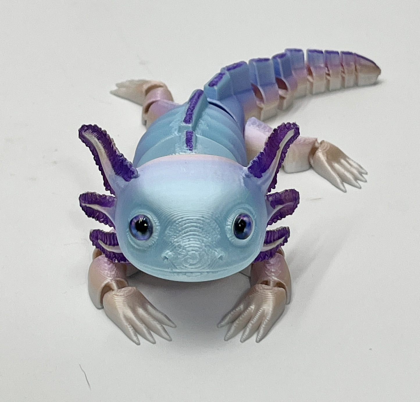 Axolotl