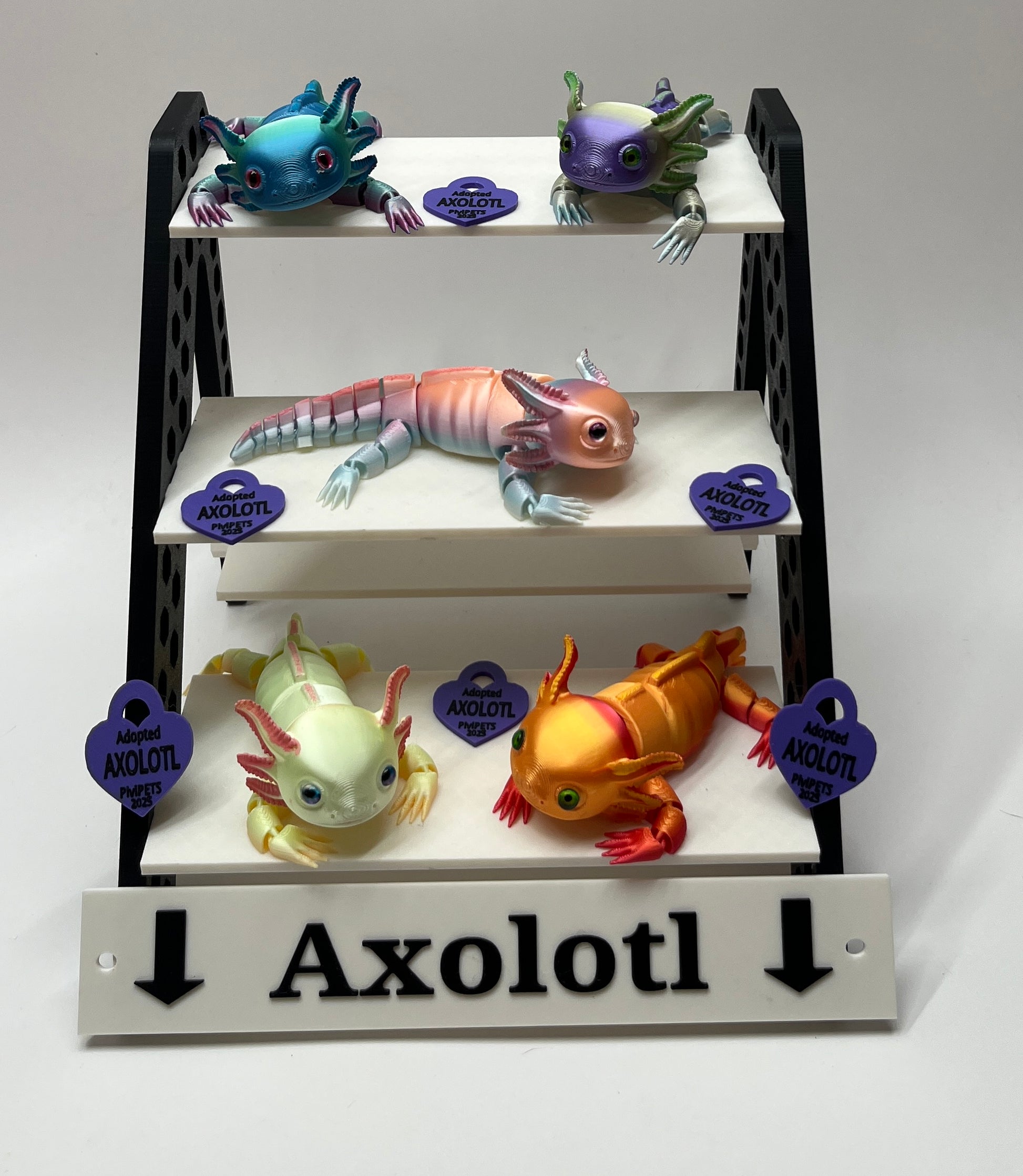 Display of axolotl figurines with labels on a white background